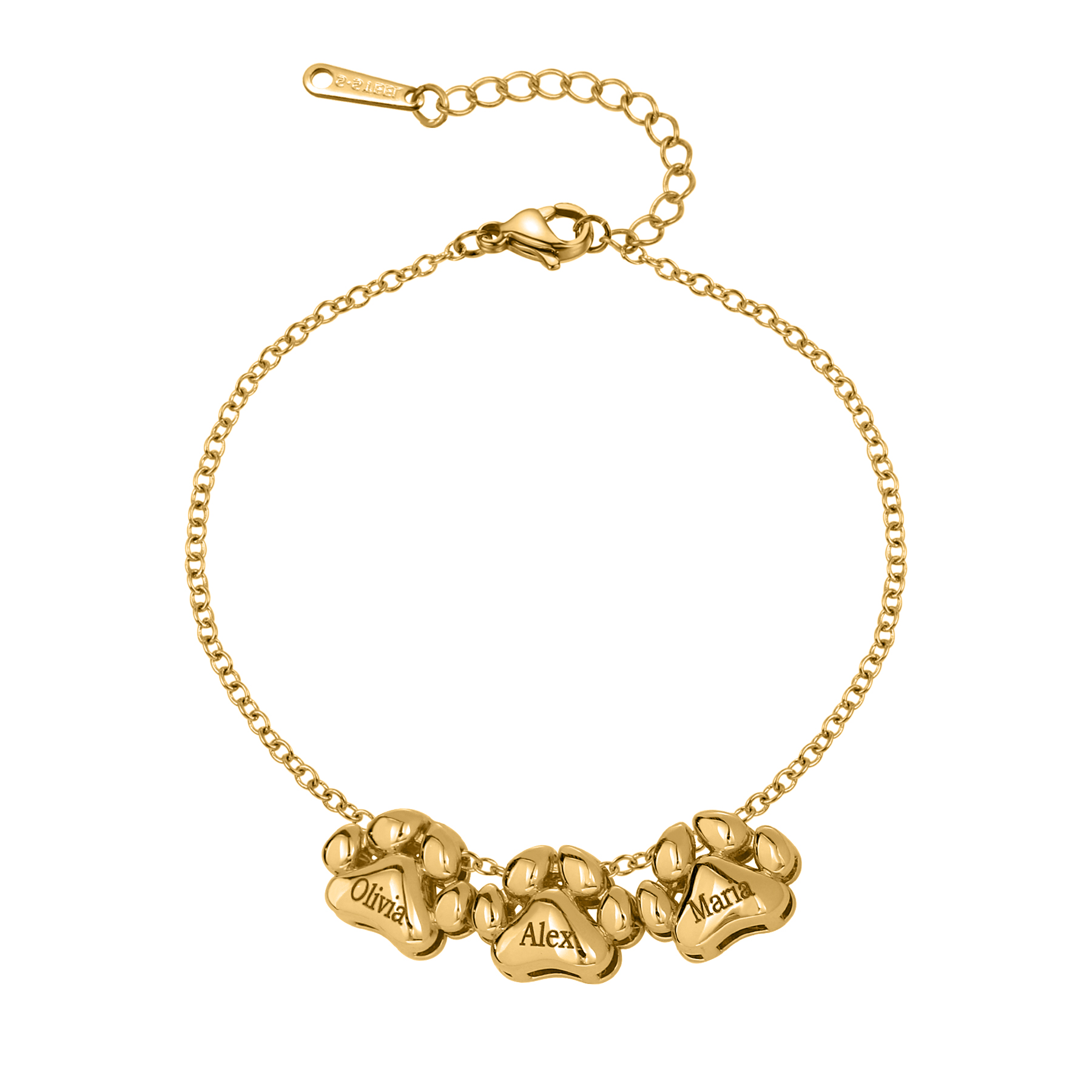 3D Printing Link - 3D Luxury Paw Bracelet Custom Contrast