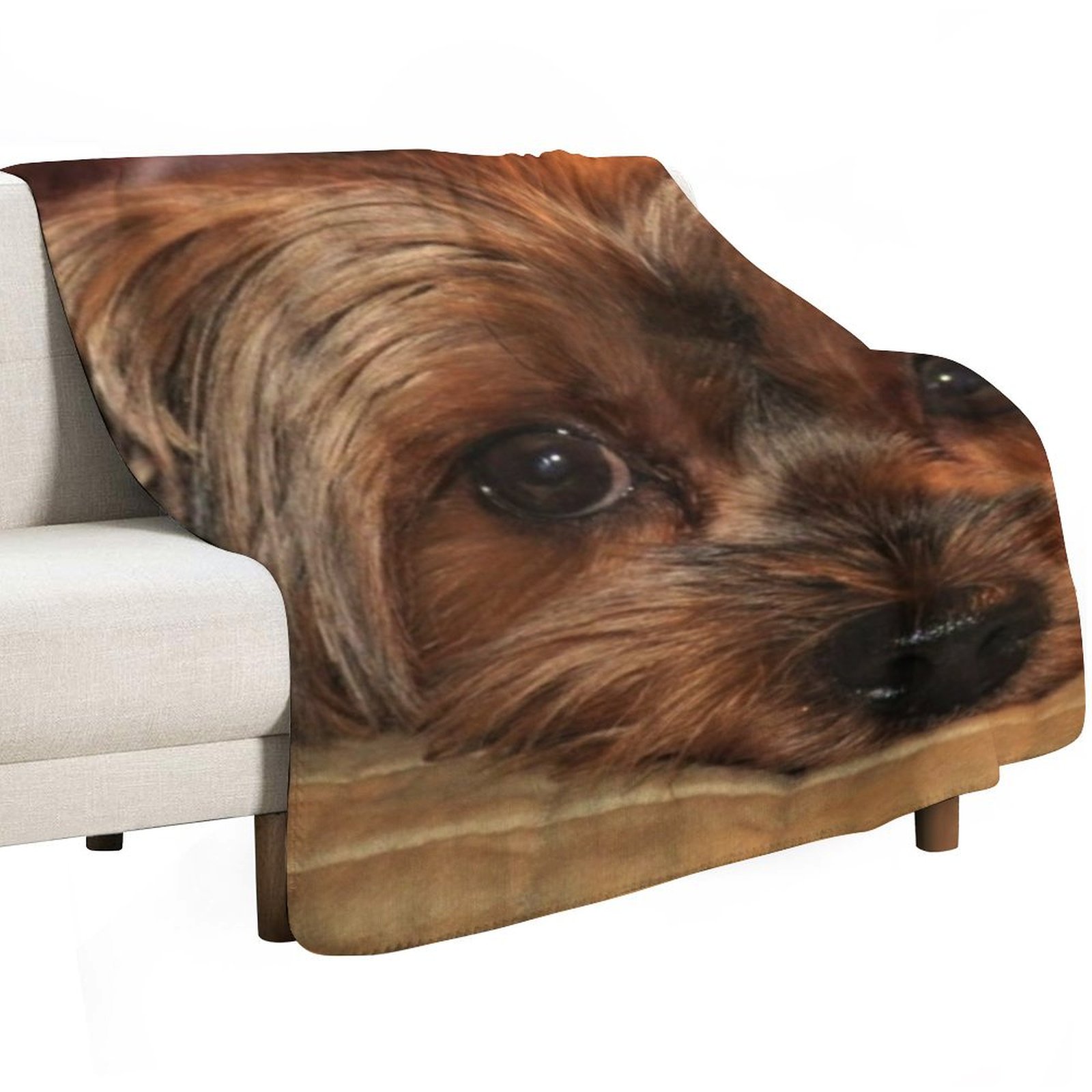 Cute Yorkshire Terrier Yorkie  - 3D Printing Yorkshire recensie en prijs